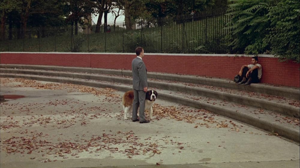 汚れた天使たちの画像