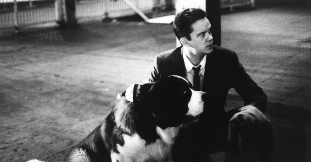 汚れた天使たちの画像