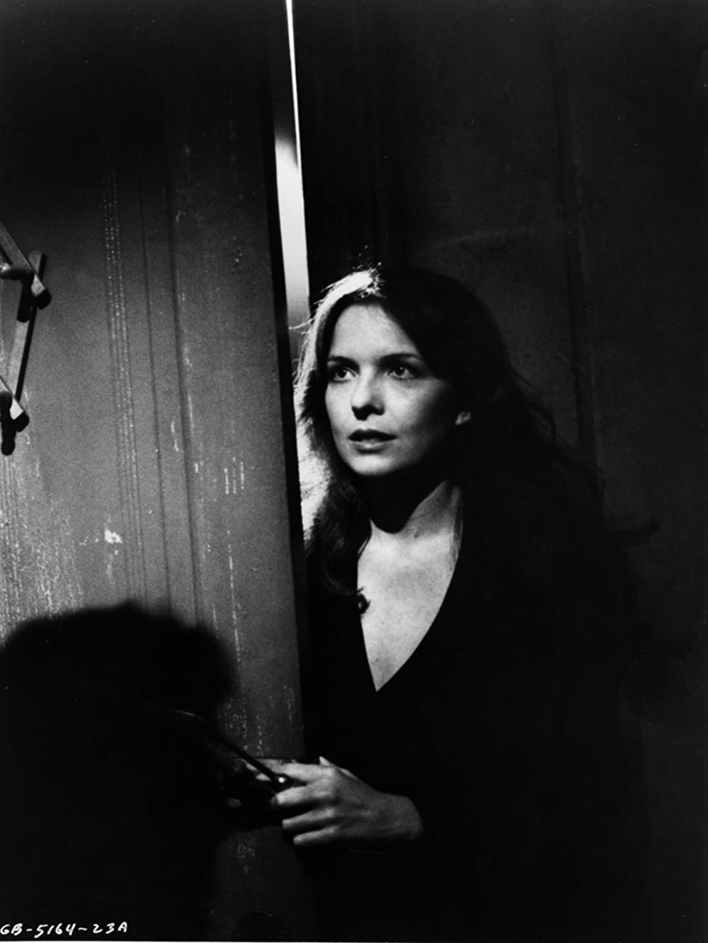 ミスター・グッドバーを探しての画像