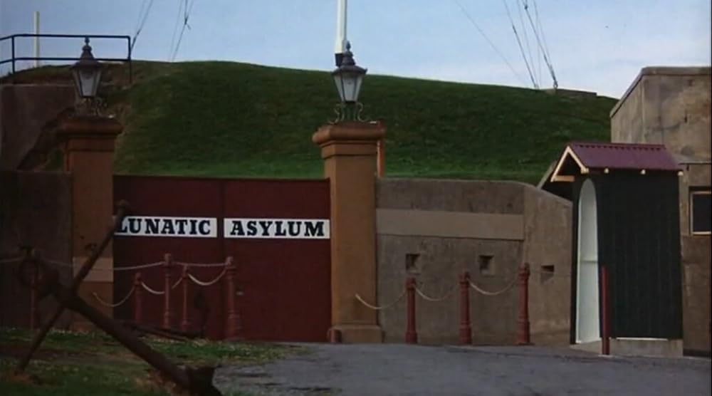 ヤング・アインシュタインの画像