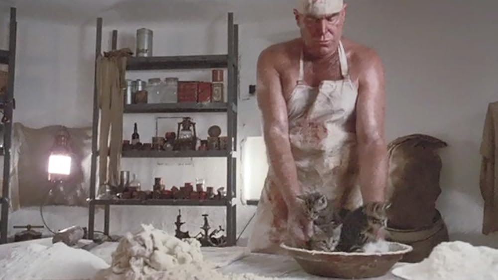 ヤング・アインシュタインの画像