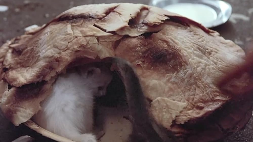 ヤング・アインシュタインの画像