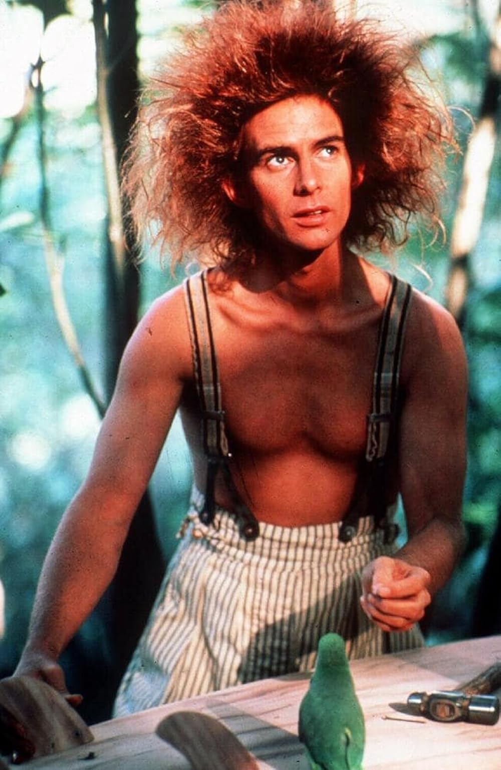 ヤング・アインシュタインの画像