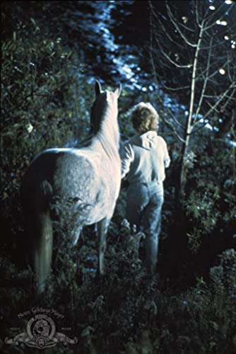 エクウスの画像