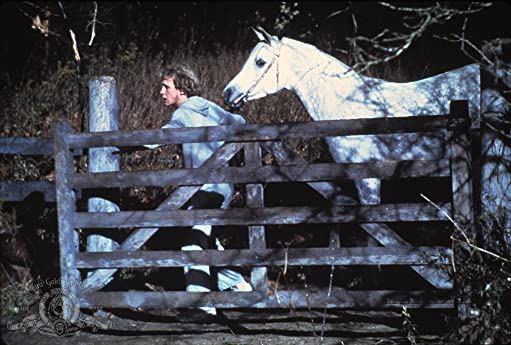 エクウスの画像