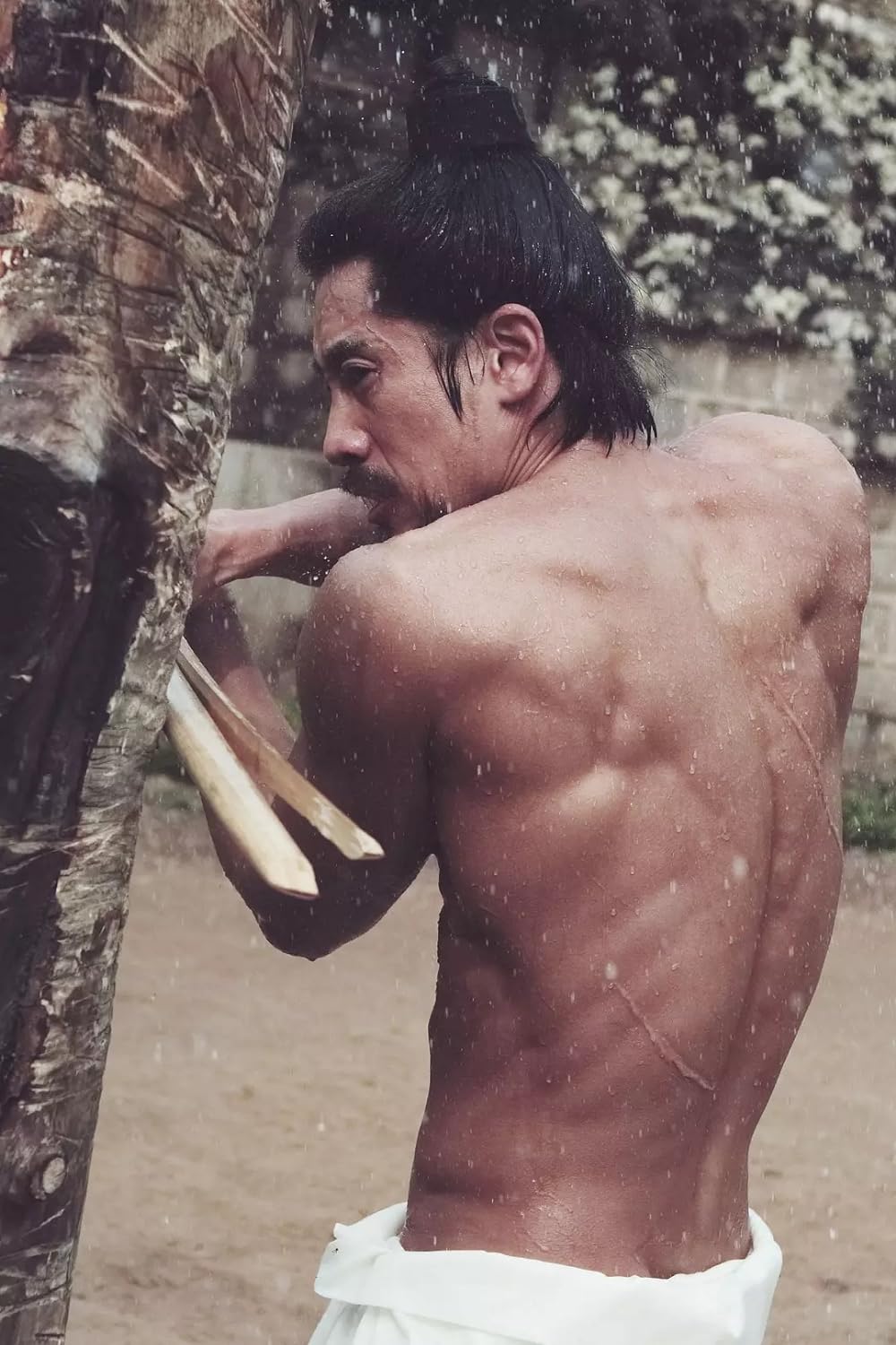 純粋の時代の画像