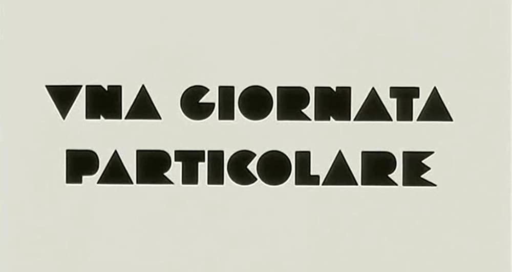 特別な一日の画像