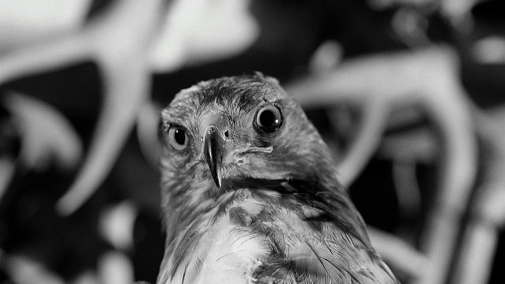 El esqueleto de la señora Morales（原題）の画像