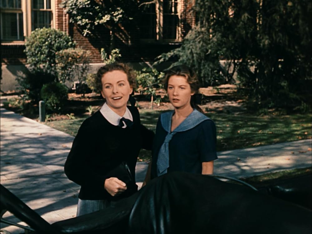 一ダースなら安くなるの画像