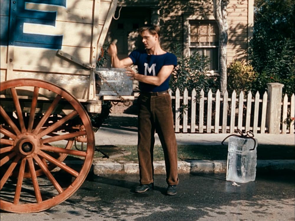 一ダースなら安くなるの画像