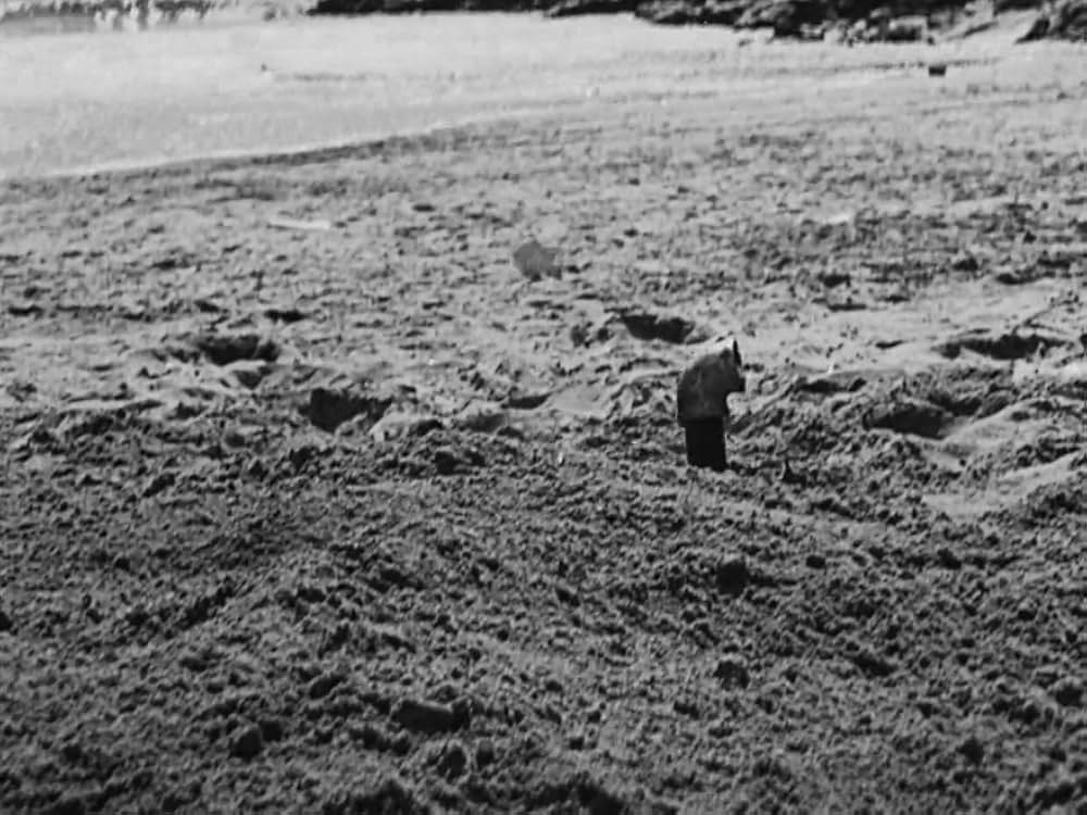 キートンのコニー・アイランド／デブ君の浜遊びの画像