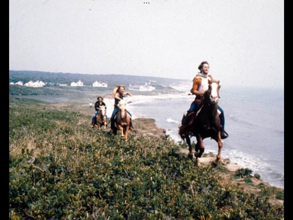 アンディ・ウォーホールのコカイン・カウボーイの画像