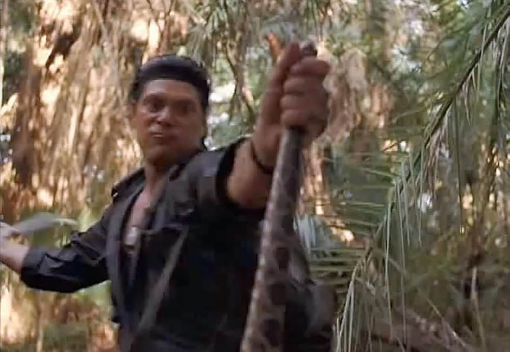 マイアミ5の写真