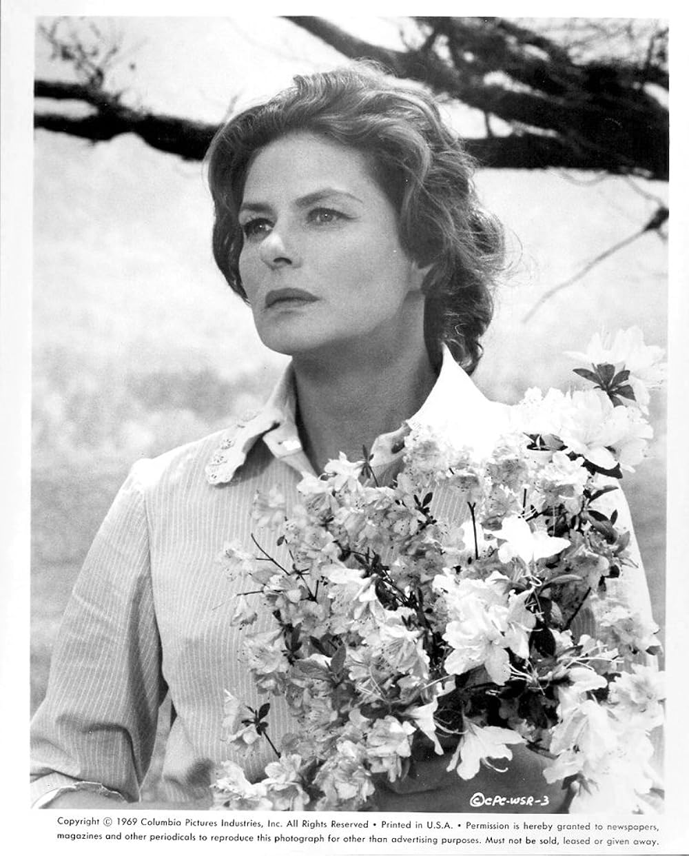 春の雨の中をの画像