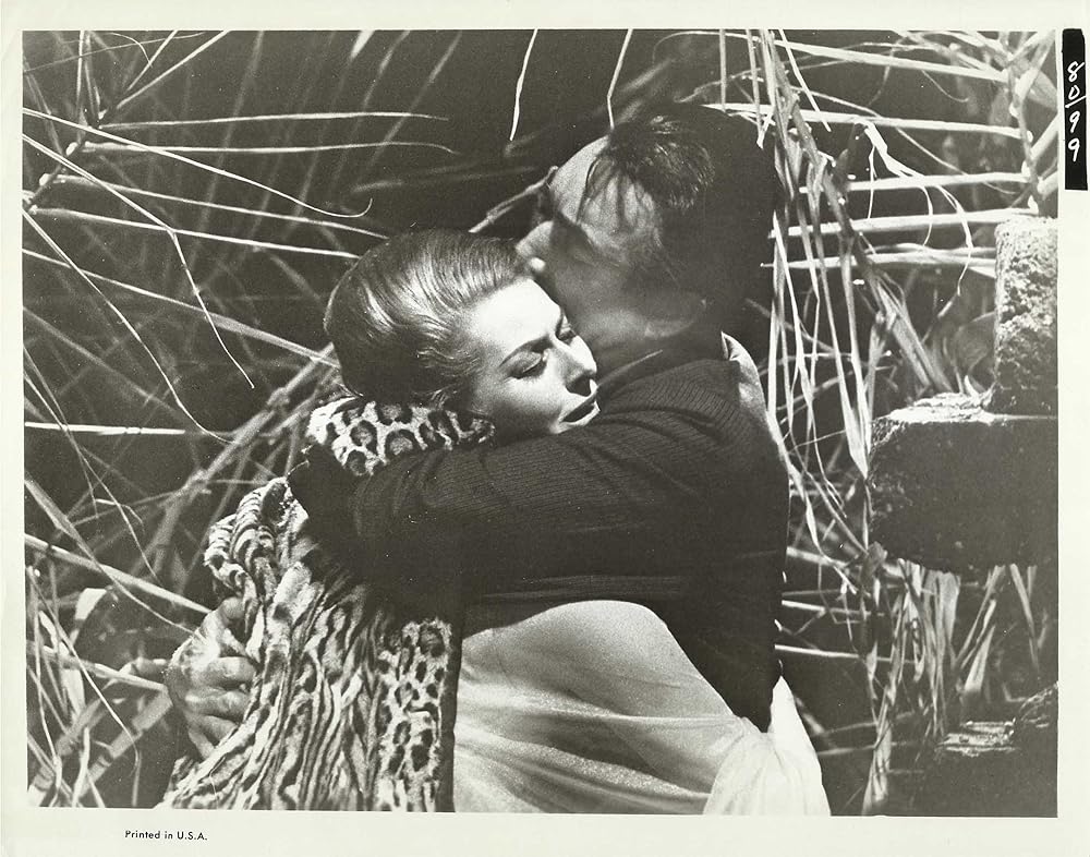 春の雨の中をの画像