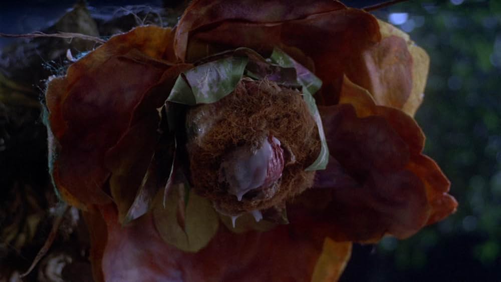 デビル・シードの画像