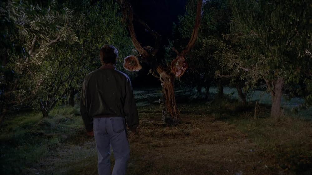 デビル・シードの画像