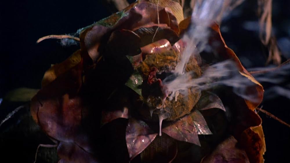 デビル・シードの画像