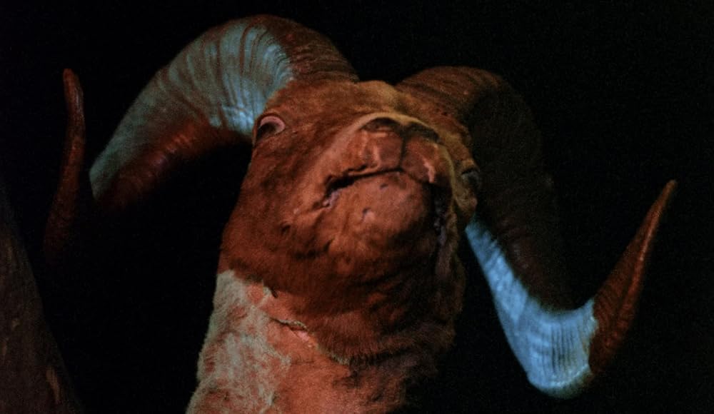 魔女の棲む村の画像