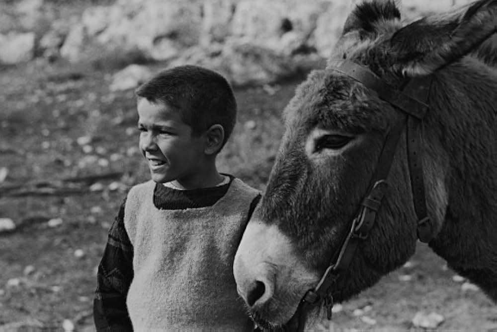 「父 パードレ・パドローネ」の画像