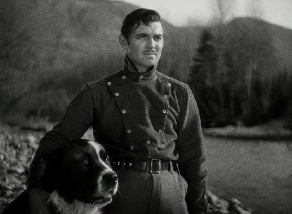 野性の叫びの画像