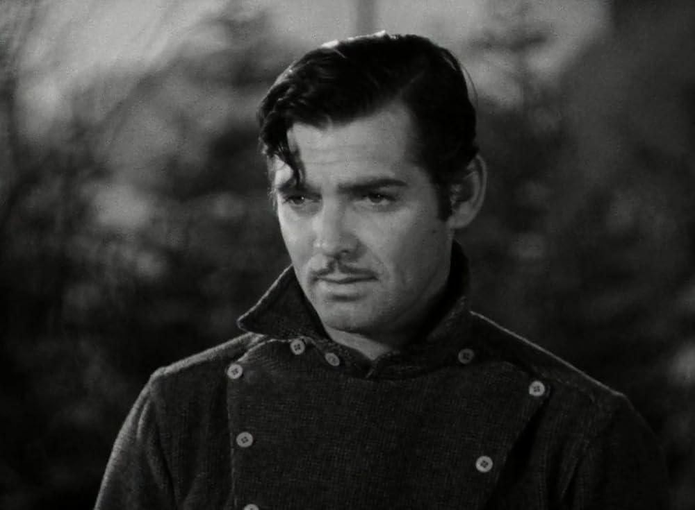 野性の叫びの画像