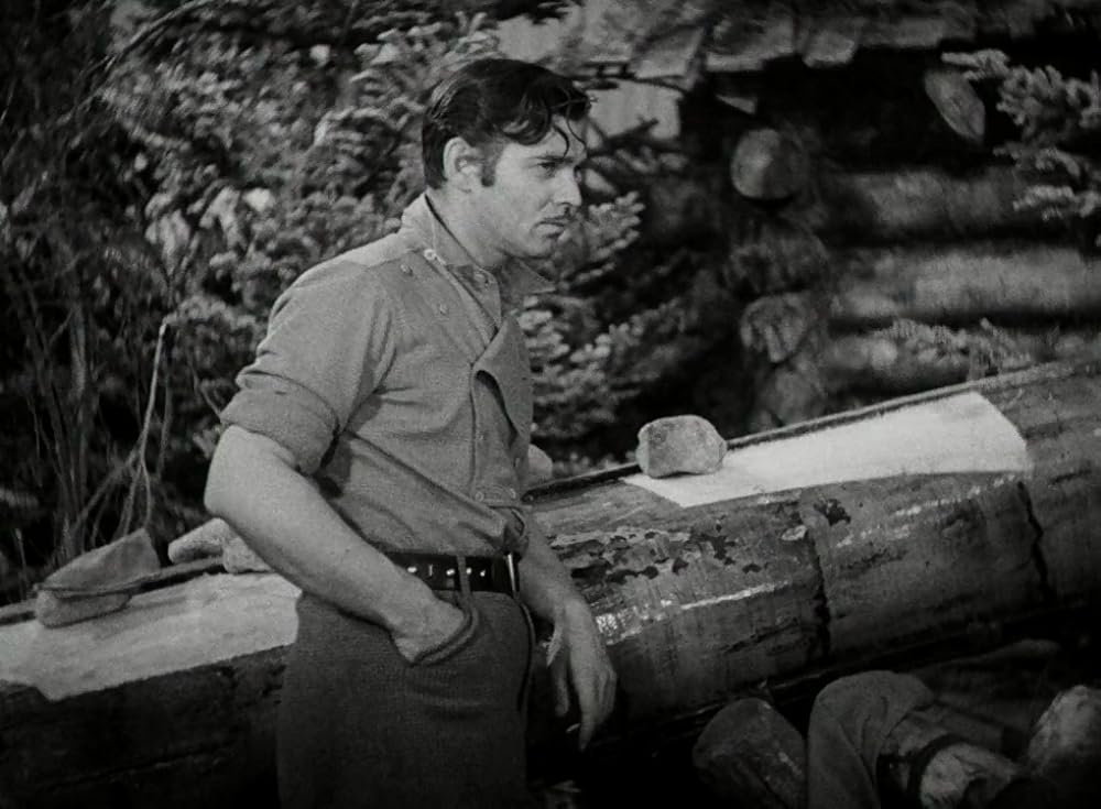 野性の叫びの画像