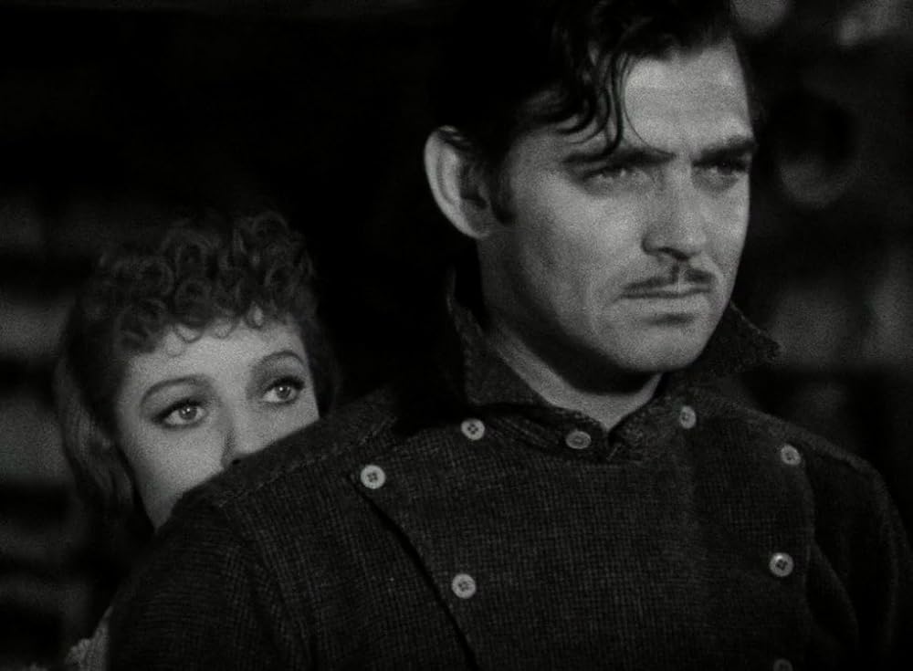 野性の叫びの画像