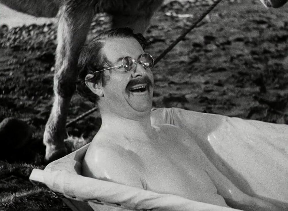 野性の叫びの画像