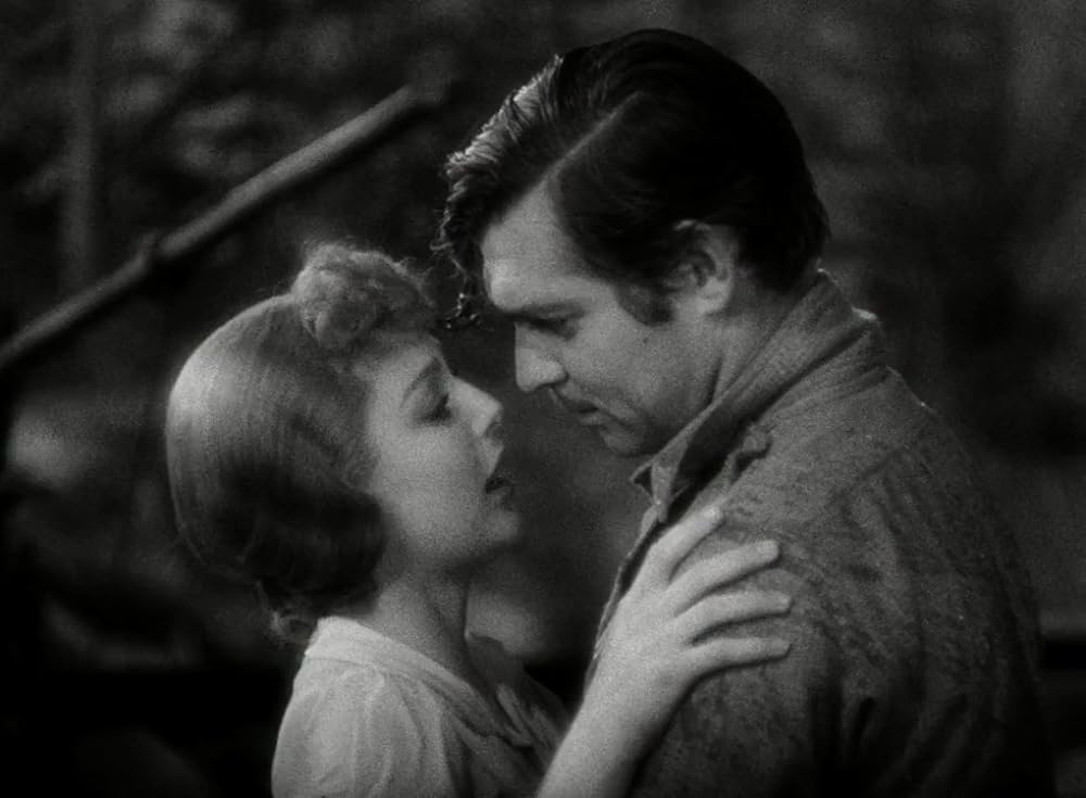 野性の叫びの画像