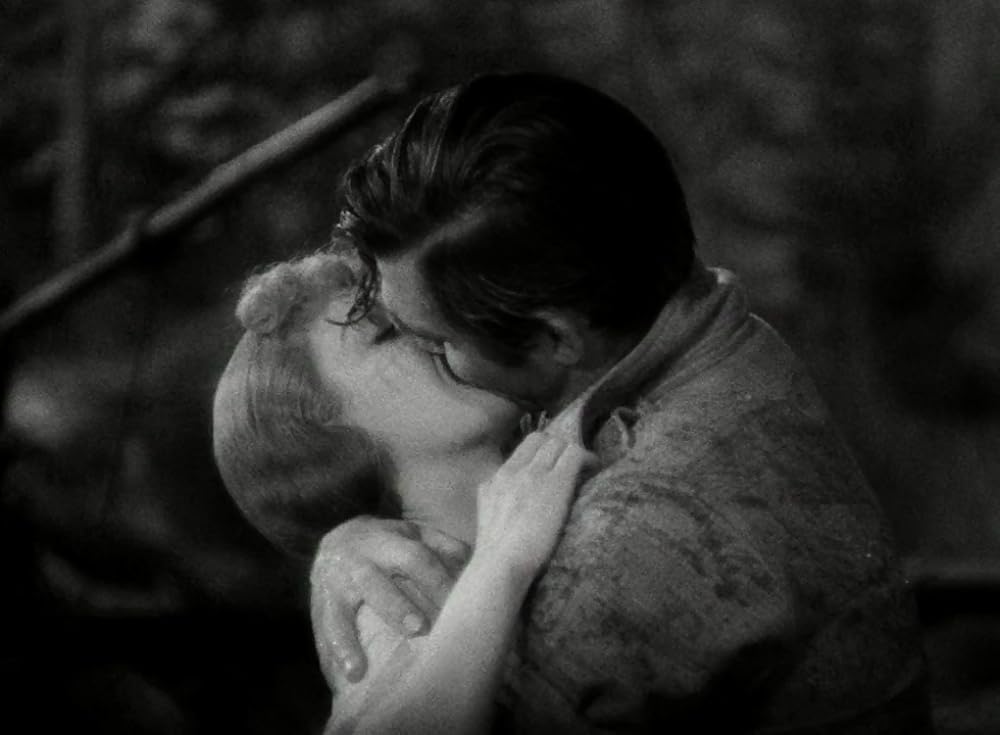 野性の叫びの画像