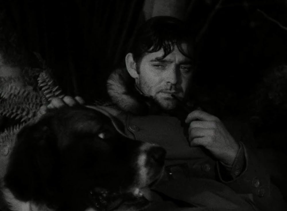 野性の叫びの画像