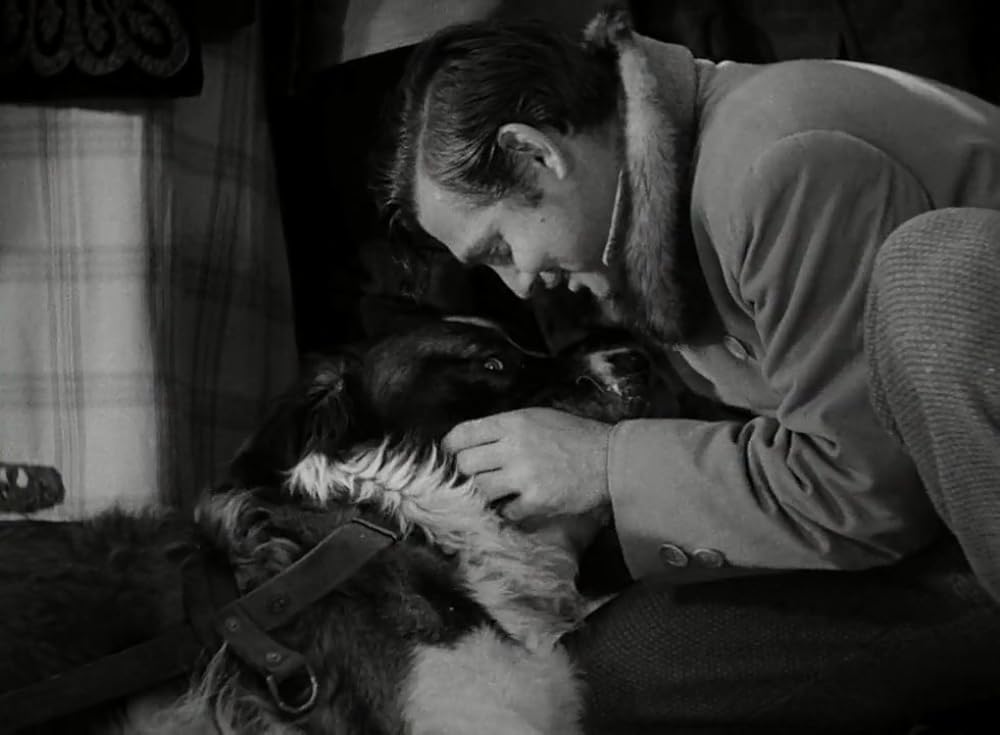 野性の叫びの画像