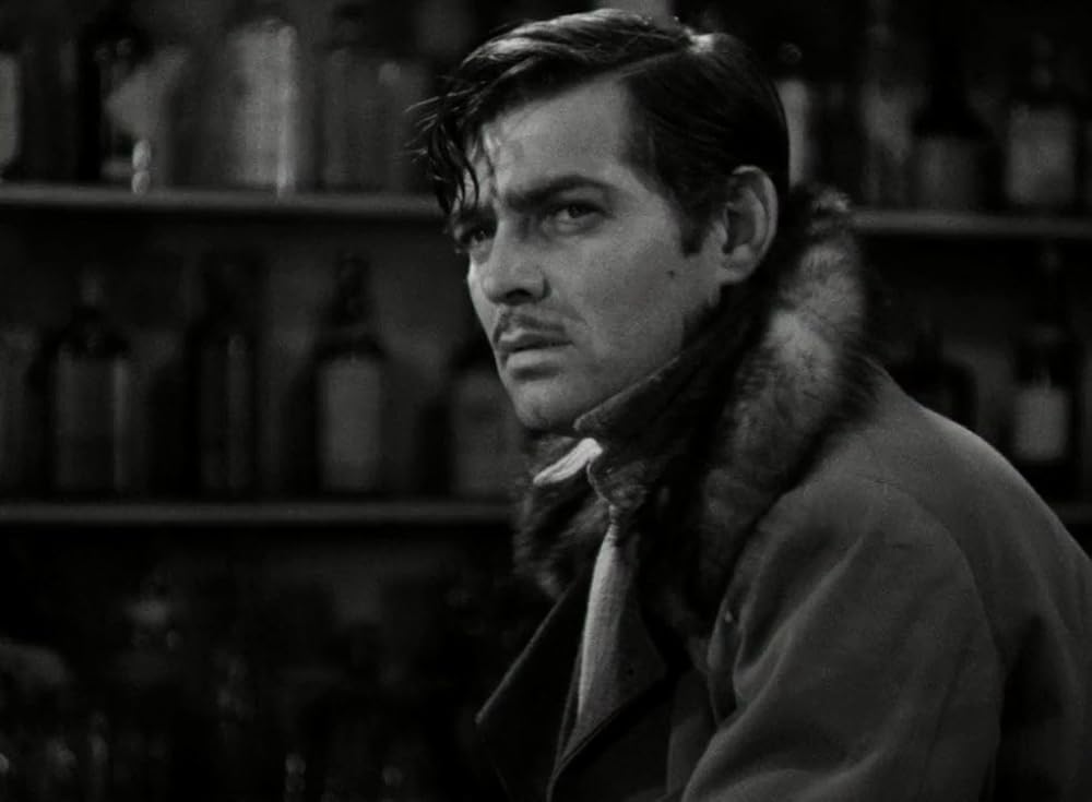 野性の叫びの画像