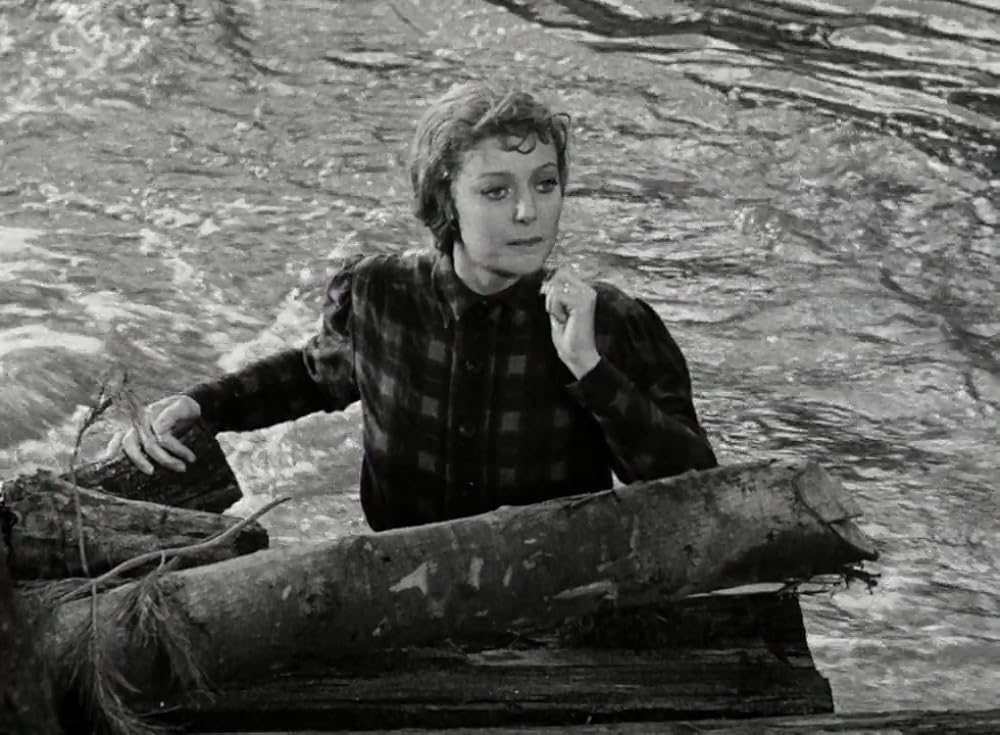 野性の叫びの画像