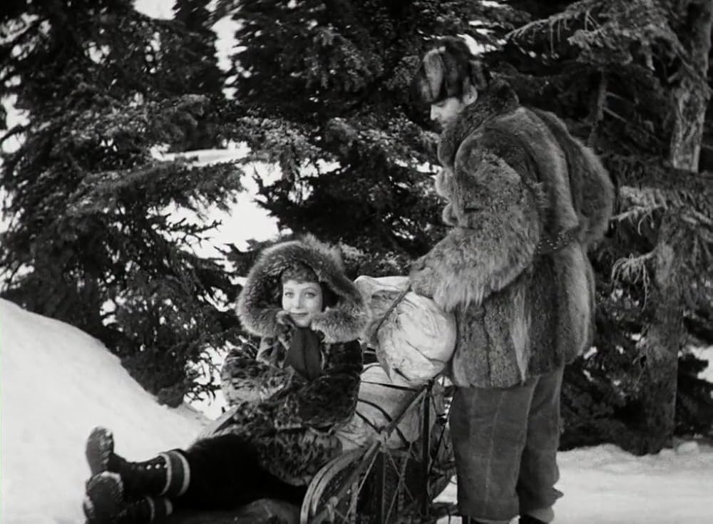 野性の叫びの画像