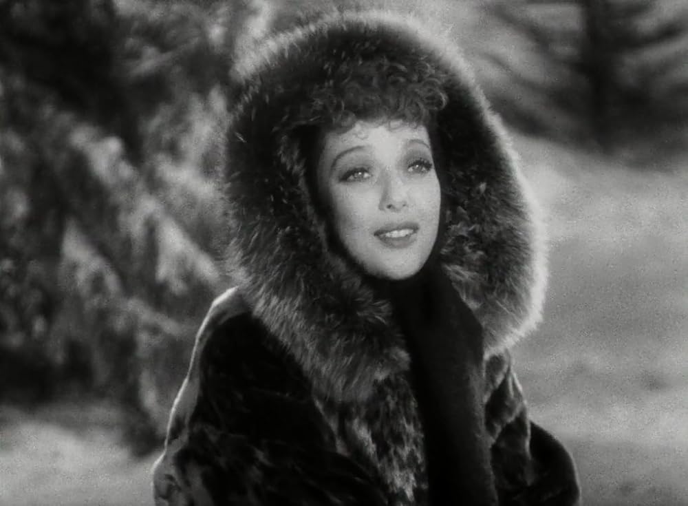 野性の叫びの画像