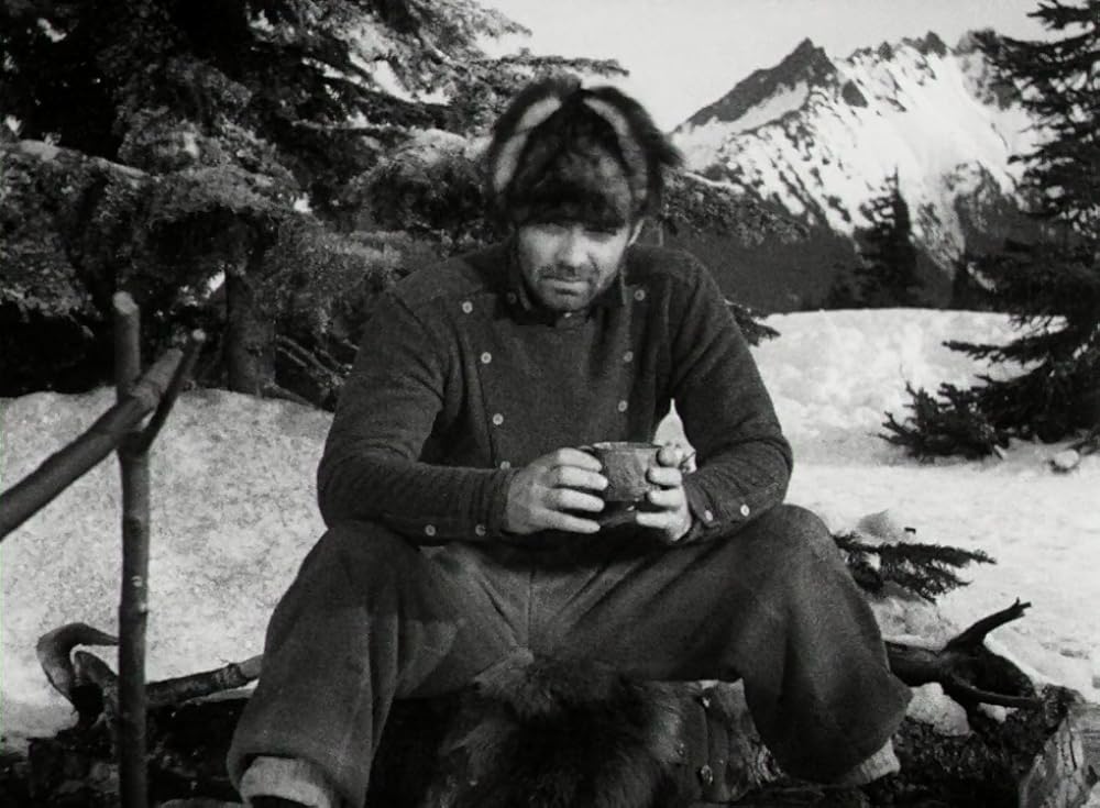 野性の叫びの画像