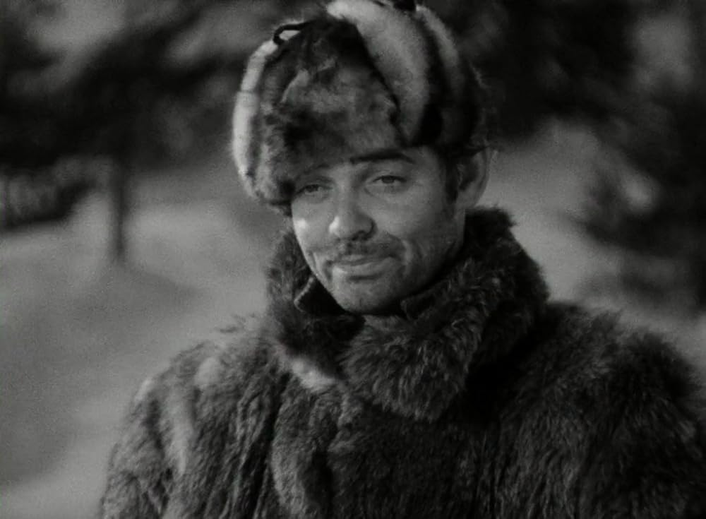 野性の叫びの画像