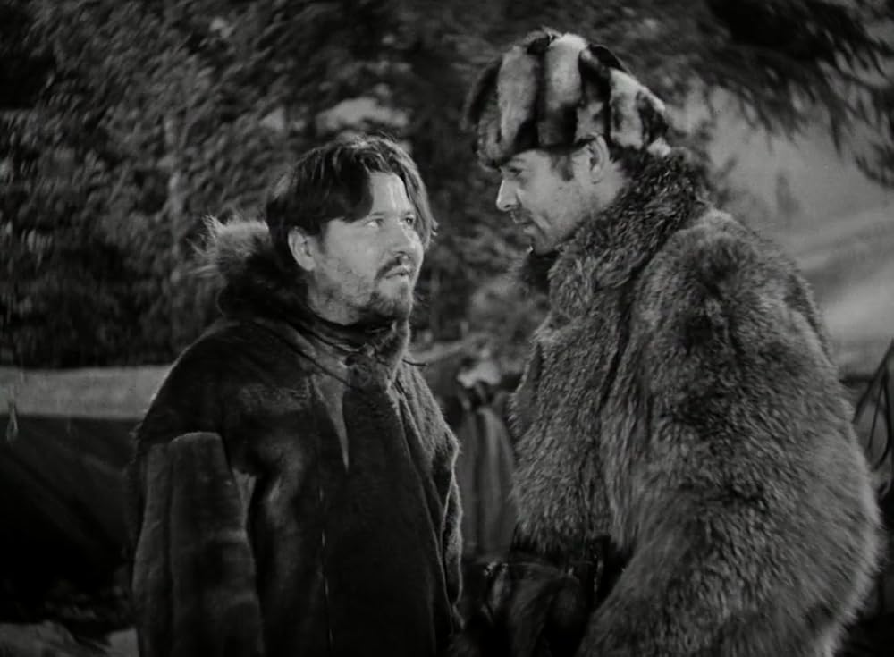 野性の叫びの画像