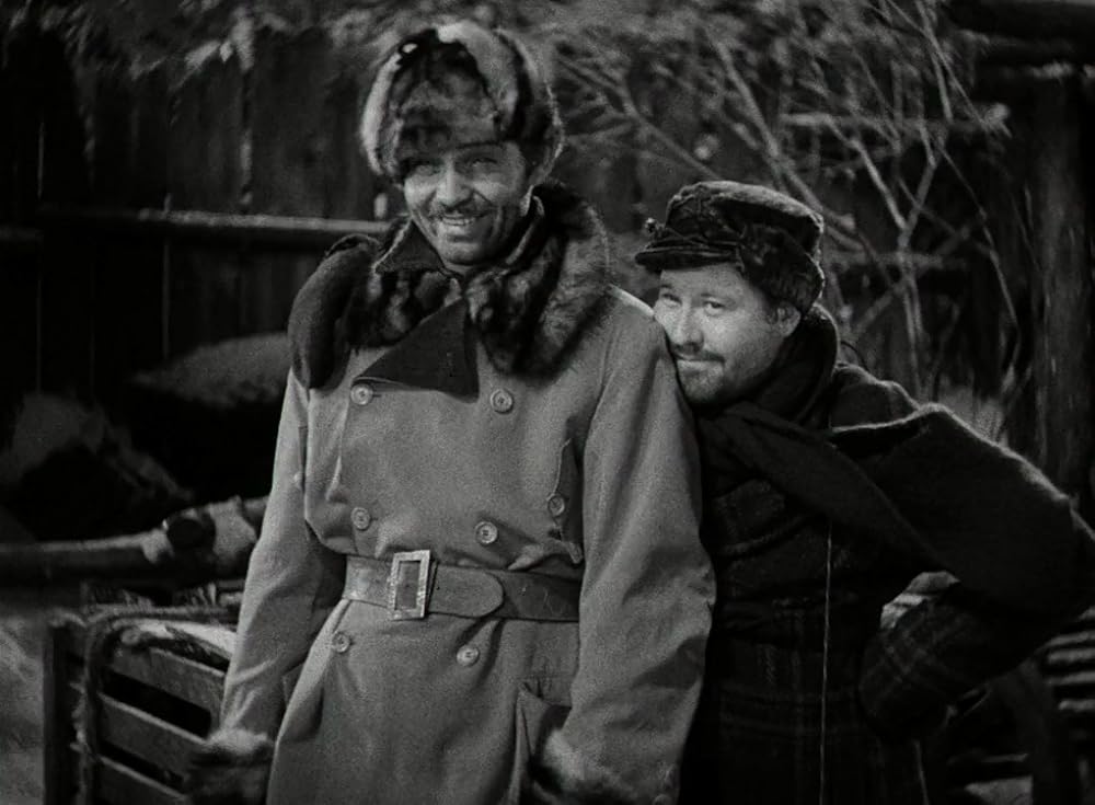 野性の叫びの画像