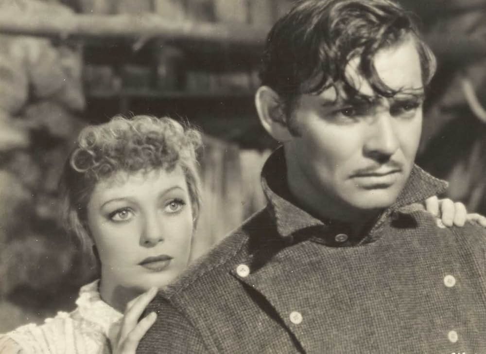 野性の叫びの画像