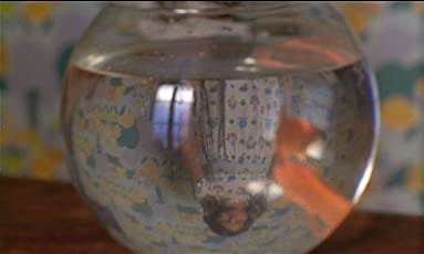 トリュフォーの思春期の画像