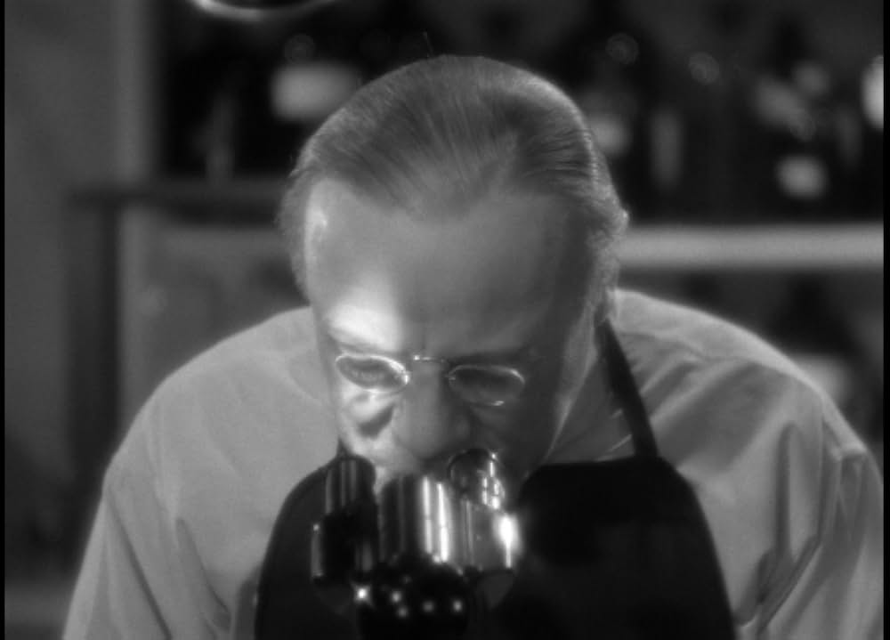 歩く死骸の画像