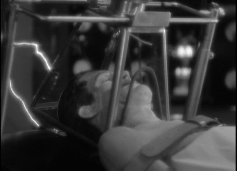 歩く死骸の画像