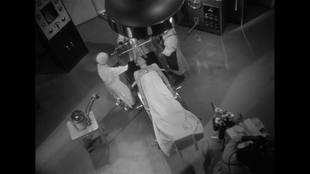 歩く死骸の画像