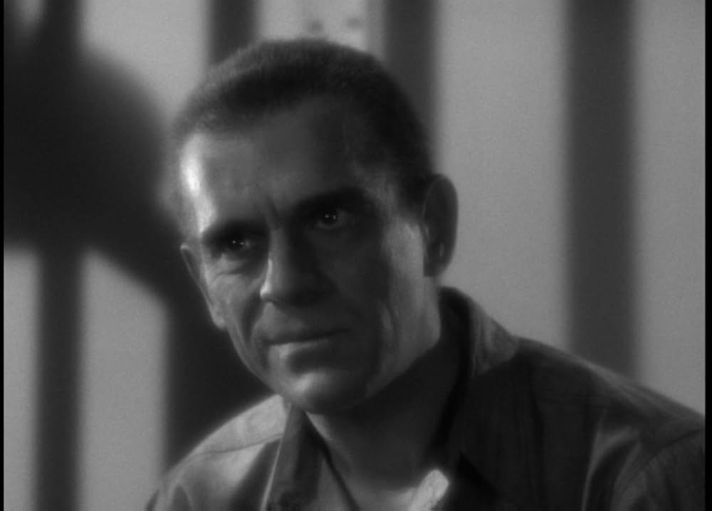 歩く死骸の画像