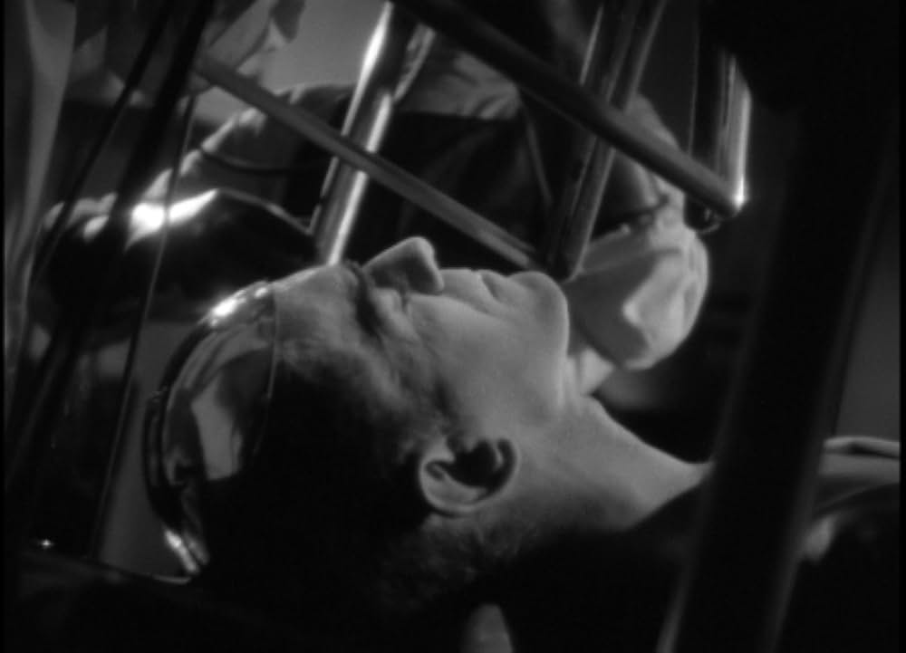 歩く死骸の画像