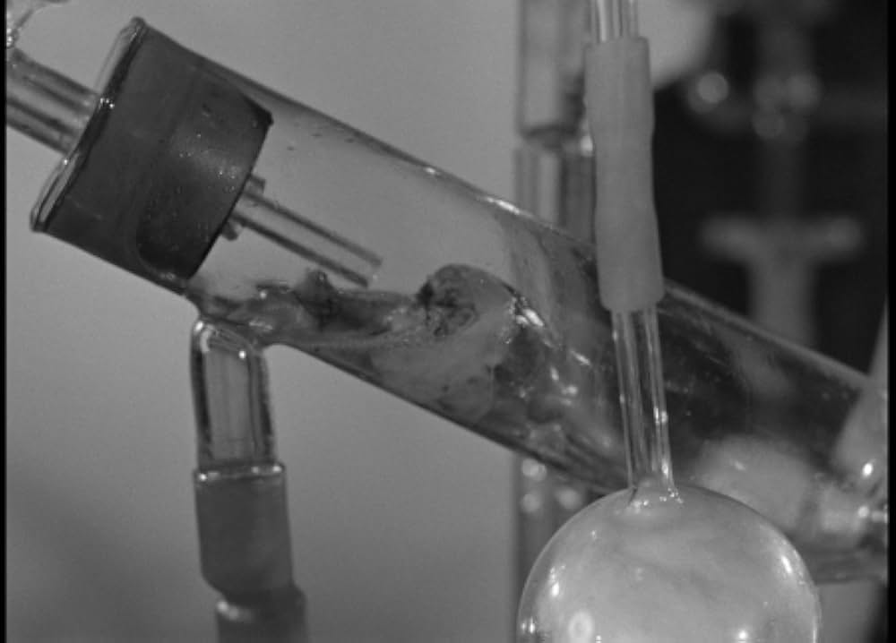 歩く死骸の画像