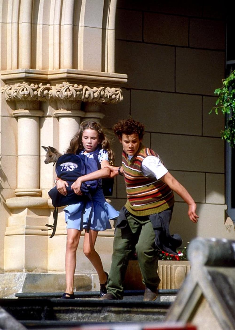 ジョーイの画像